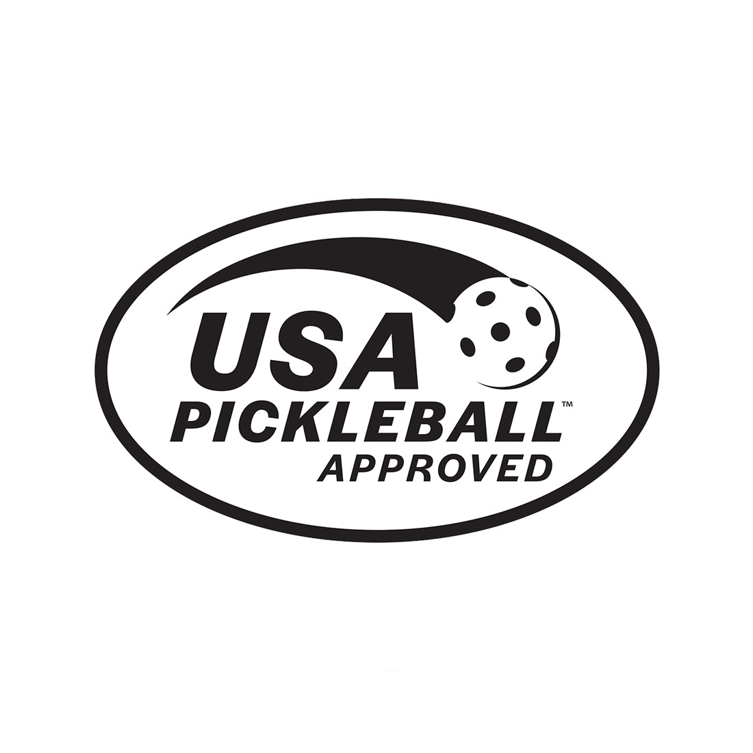 Costal Pickle, Pickleball Paddle, Zebra Cat Neutral – Lilibridge